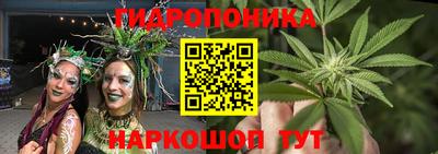 индика Заволжье